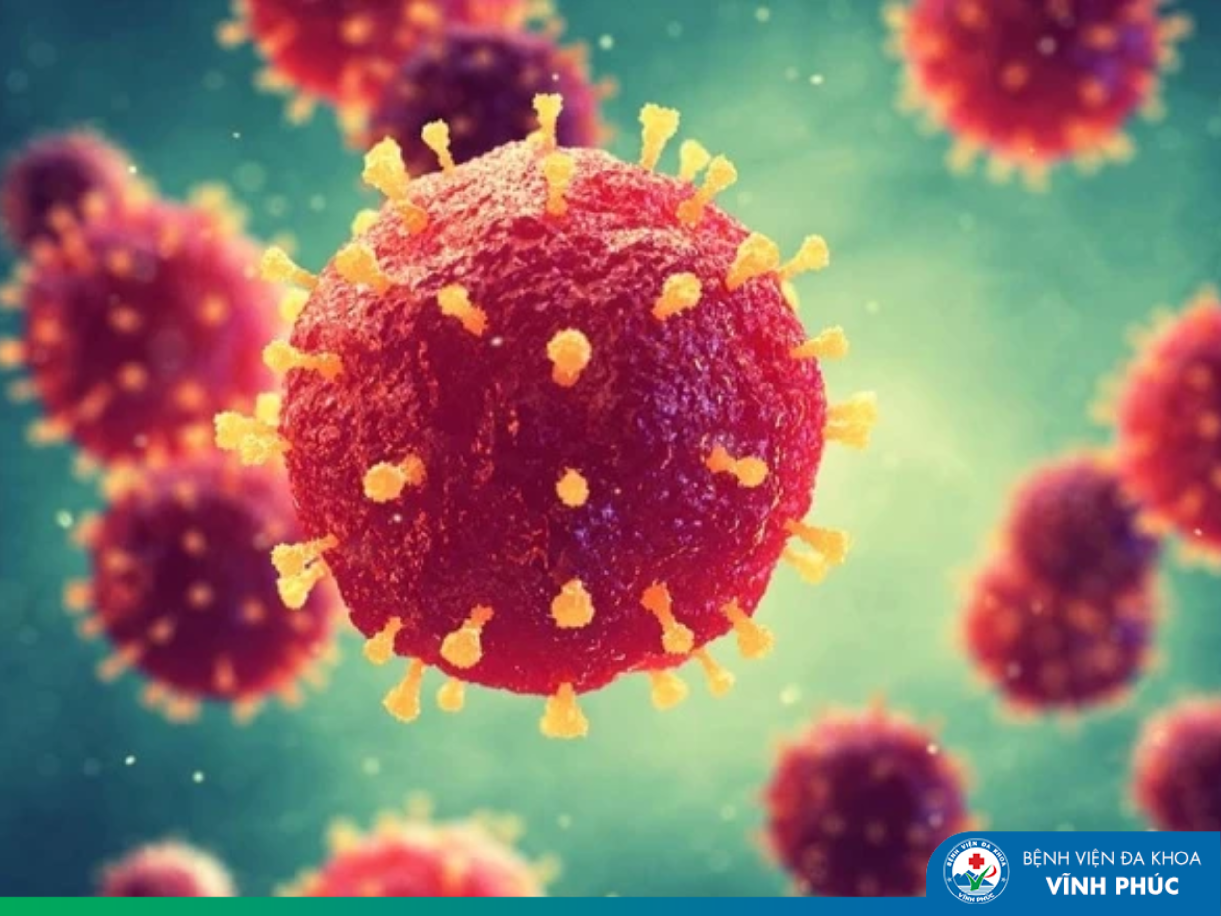 Virus Nipah : Mối đe dọa dịch bệnh nguy hiểm cần đặc biệt cảnh giác